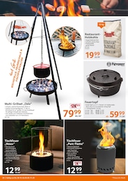 Pellets Angebot im aktuellen Selgros Prospekt auf Seite 26