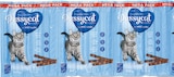 Netto mit dem Scottie Bernau - Kauröllchen Mega Pack Angebot im Prospekt Kauröllchen Mega Pack bei Netto mit dem Scottie im Bernau Prospekt für 1,49 €