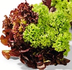 Salat mit Wurzel Mix bei Netto Marken-Discount im Rastatt Prospekt für 0,79 €