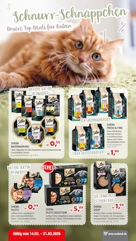 Aktueller Zookauf Prospekt für Neubrandenburg und Ungebung, Seiten zum blättern Zookauf Prospekt Schnurr-Schnäppchen mit Seiten in Neubrandenburg und Umgebung