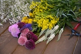 Promo Collection de vivaces "Bouquet maison" ECLOZ à 6,66 € dans le catalogue Gamm vert à Doazit