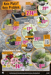 Wasser im Hornbach Prospekt in Kerpen Aktueller Hornbach Prospekt mit Wasser, "Dein Wille verlegt Deine Terrasse.", Seite 10