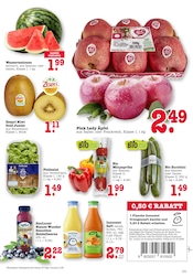 Zucchini im E center Prospekt in Frankfurt Aktueller E center Prospekt mit Zucchini, "Aktuelle Angebote", Seite 17