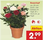 Rosentopf Angebote bei Netto Marken-Discount Velbert für 2,99 €