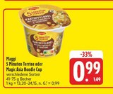 5 Minuten Terrine Angebote von Maggi bei E center Bayreuth für 0,99 €