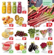 Aktueller Marktkauf Prospekt mit Blumen, "Aktuelle Angebote", Seite 7