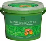 Herbst-Rasendünger im Angebot bei Pflanzen Kölle in Wiesbaden Herbst-Rasendünger Angebote bei Pflanzen Kölle Wiesbaden für 12,99 €