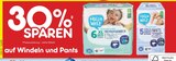 XL Premiumwindeln im Angebot bei Netto Marken-Discount in Bremerhaven XL Premiumwindeln Angebote von Hallo Welt bei Netto Marken-Discount Bremerhaven