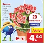 Netto Marken-Discount Beckum Prospekt mit  im Angebot für 4,44 €