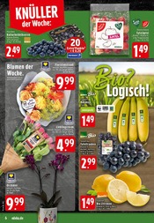 Aktueller EDEKA Prospekt mit Pflanzen, "Aktuelle Angebote", Seite 6