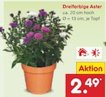 Angebot im Netto Marken-Discount Hessisch Lichtenau Prospekt Netto Marken-Discount Hessisch Lichtenau Prospekt mit im Angebot für 2,49 €