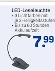 LED-Leseleuchte bei Rossmann im Obersontheim Prospekt für 7,99 €