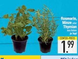 Rosmarin bei EDEKA im Großmehring Prospekt für 1,99 €