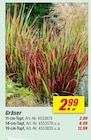 toom Baumarkt Wolfenbüttel - Gräser 11-cm-Topf Angebot im Prospekt Gräser 11-cm-Topf bei toom Baumarkt im Wolfenbüttel Prospekt für 2,99 €
