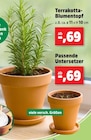 Terrakotta-Blumentopf im Thomas Philipps Prospekt Terrakotta-Blumentopf von im aktuellen Thomas Philipps Prospekt für 0,69 €