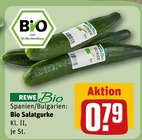 Bio Salatgurke im Angebot bei REWE in Langenhagen Bio Salatgurke Angebote von REWE Bio bei REWE Langenhagen für 0,79 €