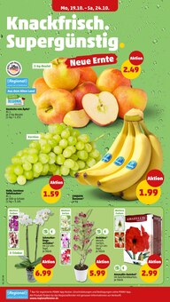 Äpfel im aktuellen Penny Prospekt (Hannover) Äpfel im Penny Prospekt "Wer günstig will, muss Penny." mit 40 Seiten (Hannover)