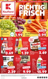 Aktueller Kaufland Supermarkt Prospekt in Klein Nordende und Umgebung, "Aktuelle Angebote" mit 59 Seiten, 11.09.2025 - 17.09.2025