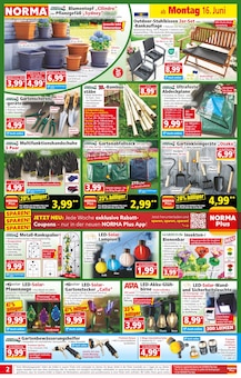 Norma Prospekt der aktuellen Woche, gĂŒltig von 16.06.2025 bis 21.06.2025 Aktueller Norma Prospekt "Mehr fĂŒrs Geld" mit 19 Seiten