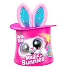 Promo Magic Bunny Surprise à 34,90 € dans le catalogue Auchan Hypermarché à Facture