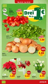 Tomaten im Penny Prospekt in Karlsruhe Aktueller Penny Prospekt mit Tomaten, "Wer günstig will, muss Penny.", Seite 6