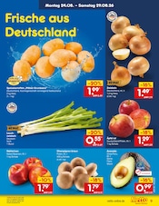 Kartoffeln im Netto Marken-Discount Prospekt in Baden-Baden Aktueller Netto Marken-Discount Prospekt mit Kartoffeln, "Aktuelle Angebote", Seite 11