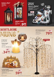 Weihnachtsbaum Angebot im aktuellen Selgros Prospekt auf Seite 23