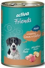activa Friends bei DAS FUTTERHAUS im Ribnitz-Damgarten Prospekt für 1,49 €