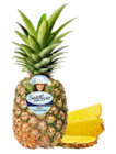 Costa-rican. Ananas Angebot in Lebach Costa-rican. Ananas im aktuellen Prospekt bei Kaufland in Lebach