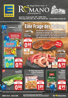 EDEKA Prospekt "Aktuelle Angebote" mit  Seiten (Köln)