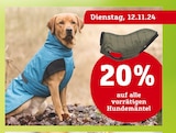 20% im aktuellen Pflanzen Kölle Prospekt