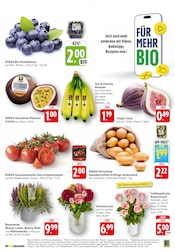 Ähnliche Zitronenbaum Angebote im Prospekt "Aktuelle Angebote" von EDEKA in Rodgau Ähnliche Angebote wie Zitronenbaum im Prospekt "Aktuelle Angebote" auf Seite 3 von EDEKA in Rodgau