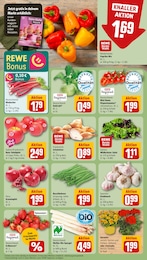 REWE Balkonpflanzen im Prospekt REWE Balkonpflanzen im Prospekt