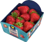 EDEKA Römnitz - Erdbeeren Angebot im Prospekt Erdbeeren bei EDEKA im Römnitz Prospekt für 2,99 €