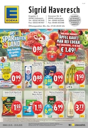 EDEKA Lengerich Prospekt der aktuellen Woche, gültig von 20.10.2025 bis 25.10.2025 Aktueller EDEKA Lengerich Prospekt "Aktuelle Angebote" mit 24 Seiten
