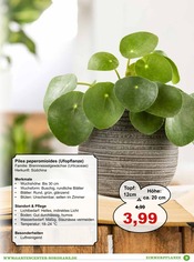 Aktueller Garten-Center Nordharz GmbH & Co. KG Prospekt mit Garten, "Grüne Mitbewohner", Seite 3