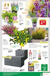 Aktueller BayWa Bau- und Gartenmärkte Prospekt mit Blumentopf, "Hier bin ich gern", Seite 23