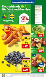 Äpfel Angebot im aktuellen Lidl Prospekt auf Seite 48