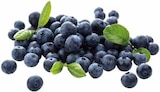 Bio-Heidelbeeren bei EDEKA im Hörstel Prospekt für 2,22 €