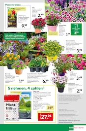 Aktueller BayWa Bau- und Gartenmärkte Prospekt mit Balkonpflanzen, "Hier bin ich gern", Seite 27