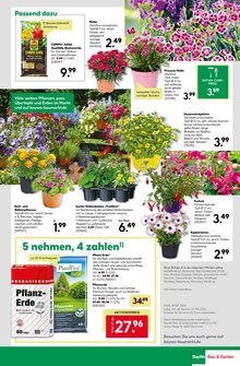 Blumenerde im aktuellen BayWa Bau- und Gartenmärkte Prospekt (Nürnberg) Blumenerde im BayWa Bau- und Gartenmärkte Prospekt "Hier bin ich gern" mit 28 Seiten (Nürnberg)