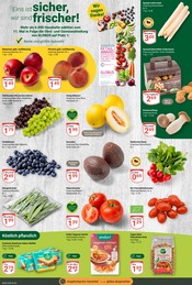 Aktueller GLOBUS Prospekt mit Tomaten, "Aktuelle Angebote", Seite 8