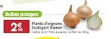 Promo Plants d'oignons Stuttgart Riesen à 2,50 € dans le catalogue LaMaison.fr à La Guerche-de-Bretagne