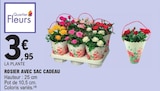 Rosier avec sac cadeau - Quartier Fleurs en promo chez E.Leclerc Rosier avec sac cadeau - Quartier Fleurs dans le catalogue E.Leclerc