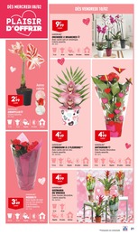 Prix et réduction Bricolage et Jardin dans le prospectus Aldi en cours Offre Bricolage et Jardin dans le catalogue Aldi du moment à la page 23