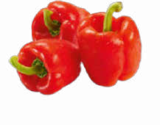 Aktuelle Paprika Angebote bei Netto Marken-Discount in Krefeld Aktuelles Paprika rot Angebot bei Netto Marken-Discount in Krefeld ab 1,35 €