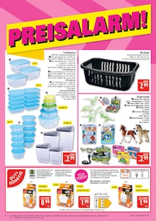 Birnen im aktuellen Marktkauf Prospekt (Nürnberg) Birnen im Marktkauf Prospekt "AUSWAHL RIESIG, PREISE NIEDRIG" mit 44 Seiten (Nürnberg)