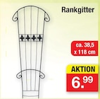 Rankgitter Angebote bei Zimmermann Bremen für 6,99 €