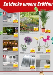 Leuchten Angebot im aktuellen toom Baumarkt Prospekt auf Seite 6