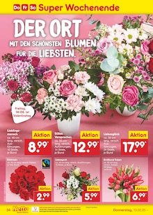 Blumen im Netto Marken-Discount Prospekt "Aktuelle Angebote" mit 65 Seiten (Münster)